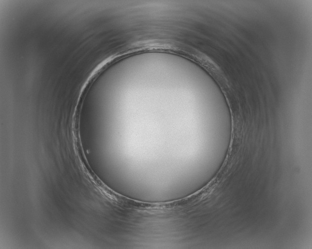 X0000055971182200508190655