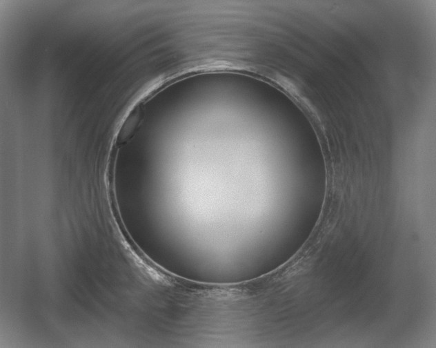 X0000055971189200508190655