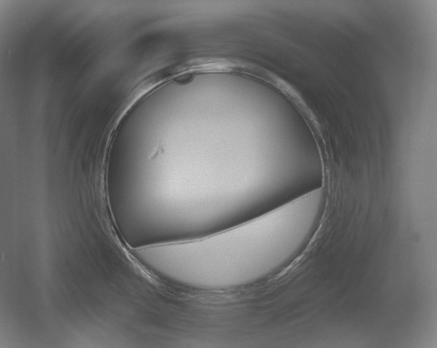 X0000055971194200508190655