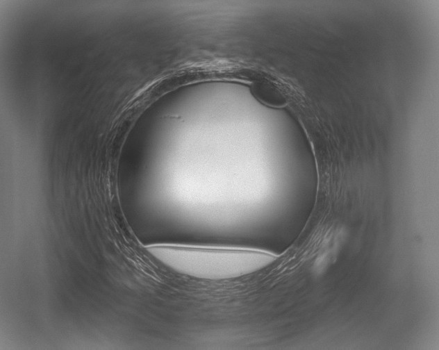 X0000055971205200508190654
