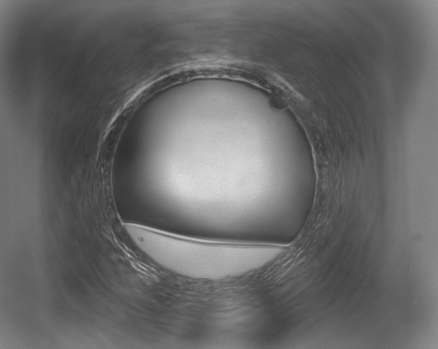 X0000055971208200508190654