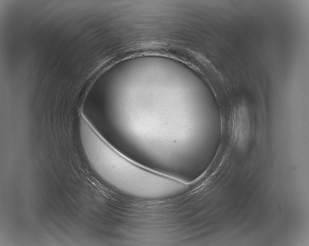 X0000055971209200508190654