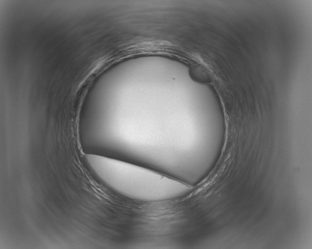 X0000055971211200508190654