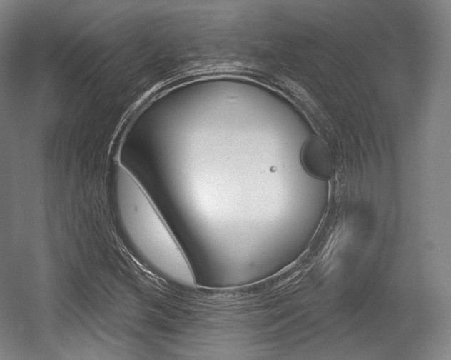 X0000055971212200508190654