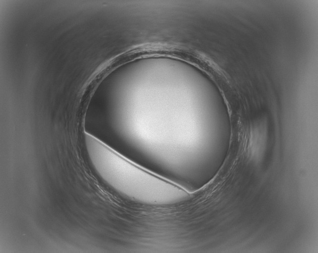 X0000055971213200508190654