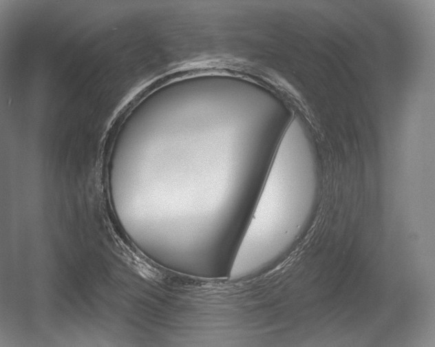 X0000055971216200508190654
