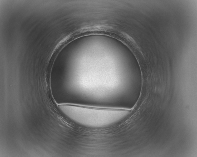 X0000055971218200508190654