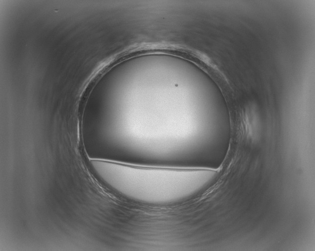 X0000055971221200508190654
