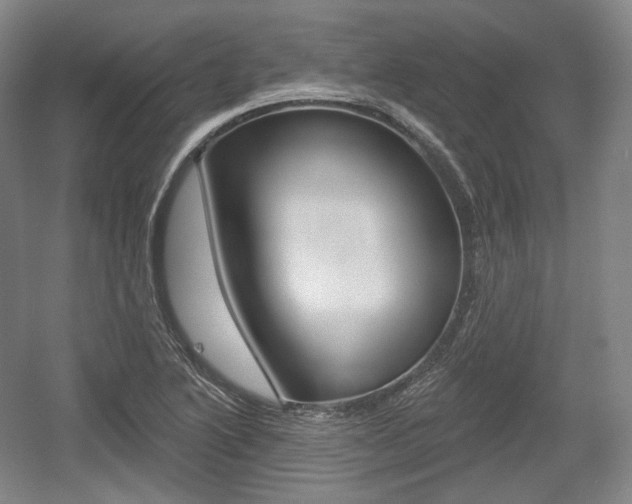 X0000055971222200508190654