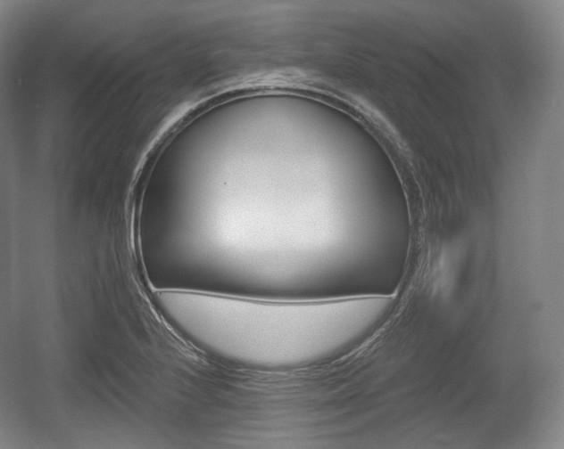 X0000055971224200508190655