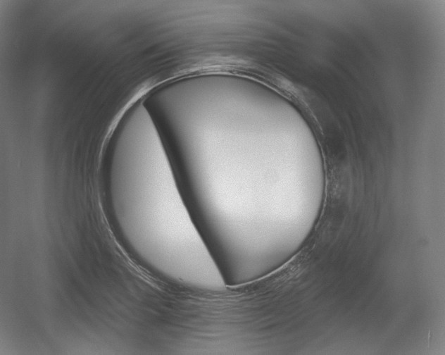 X0000055971227200508190655