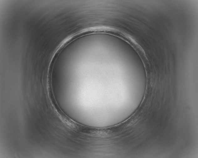 X0000055971229200508190655