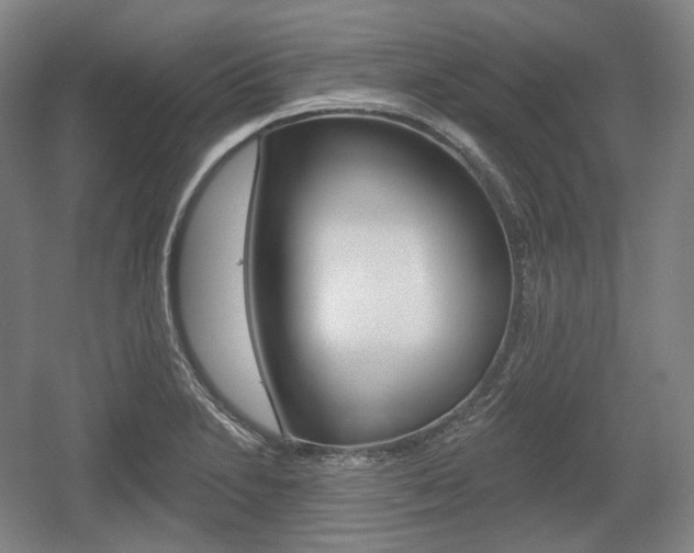 X0000055971230200508190655