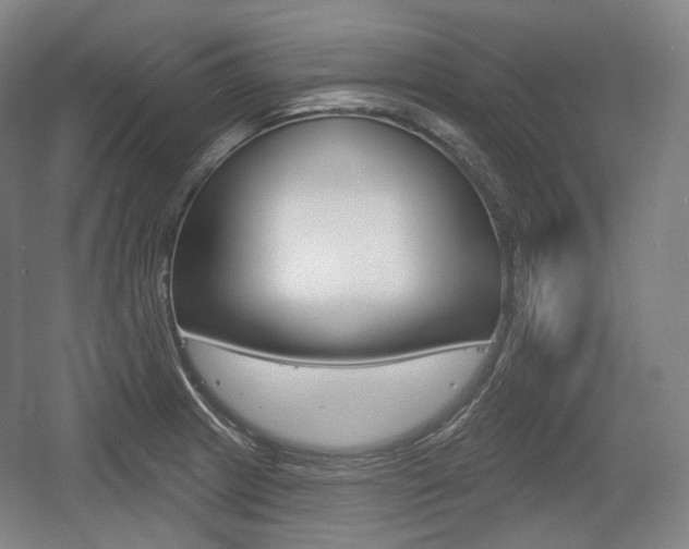 X0000055971233200508190655