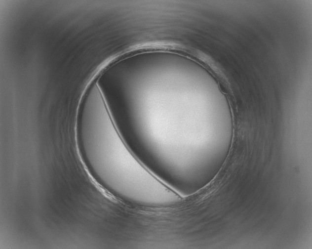 X0000055971237200508190655