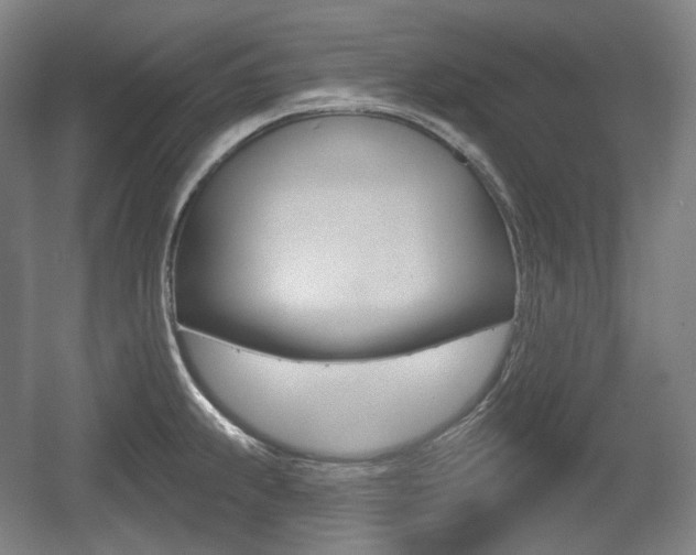 X0000055971239200508190655