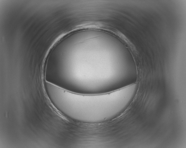 X0000055971240200508190655