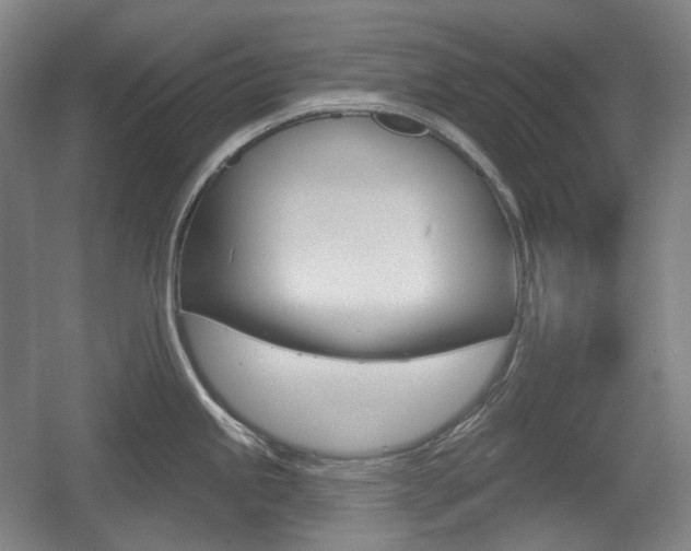 X0000055971245200508190655