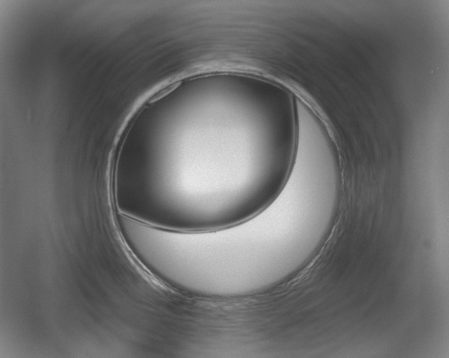 X0000055971246200508190655