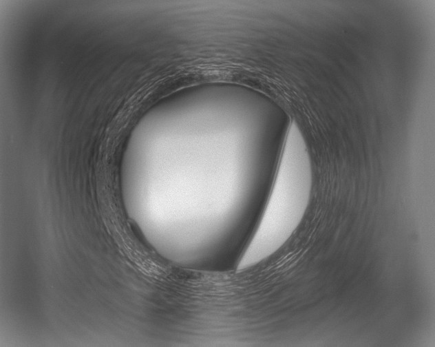 X0000055971249200508190654