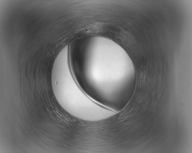 X0000055971250200508190654