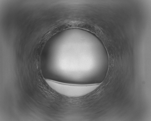 X0000055971253200508190654