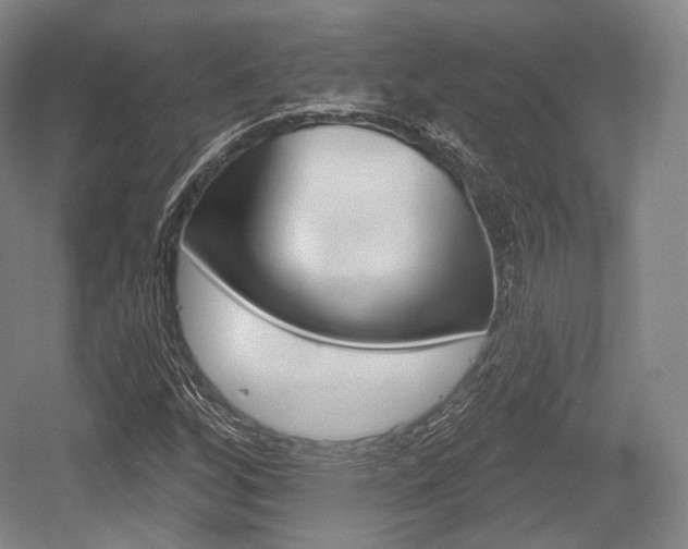 X0000055971256200508190654