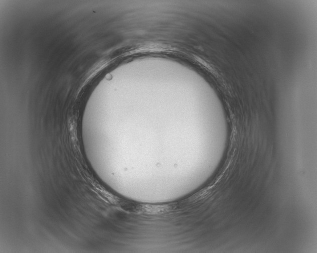 X0000055971258200508190654