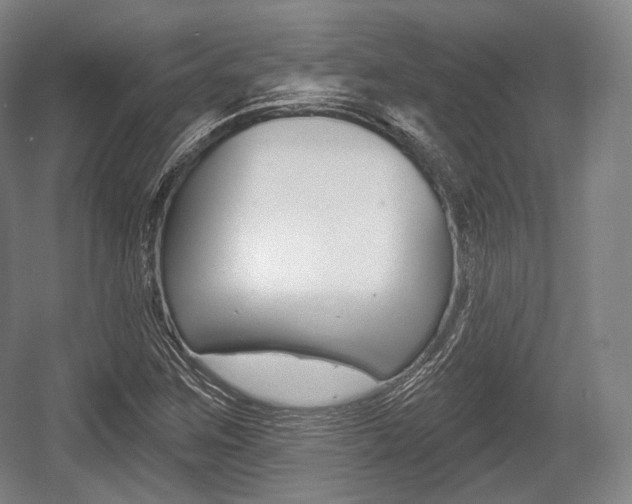 X0000055971259200508190654
