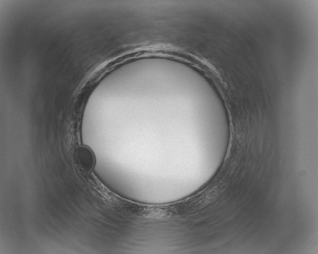X0000055971263200508190654