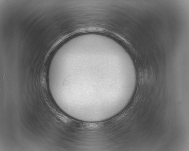 X0000055971266200508190654
