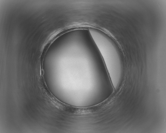 X0000055971269200508190654