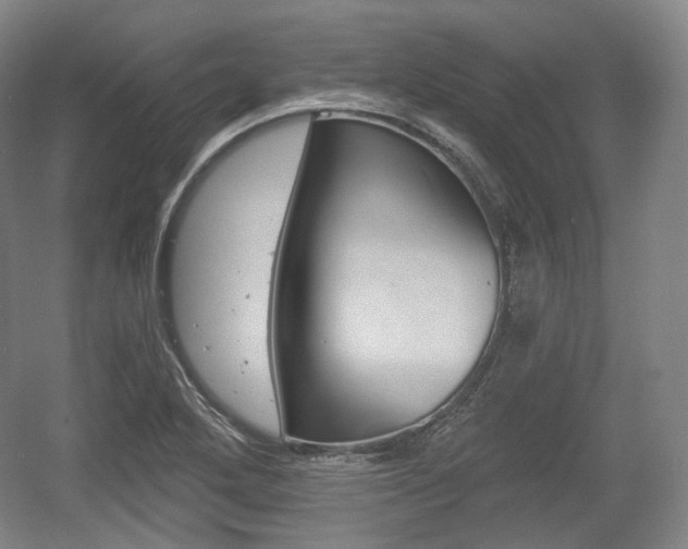 X0000055971272200508190654