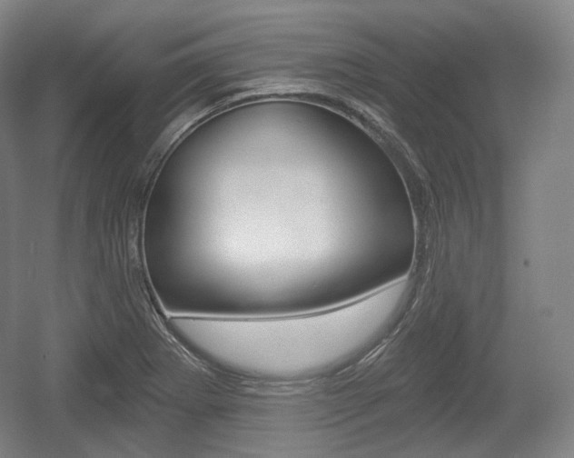 X0000055971273200508190654