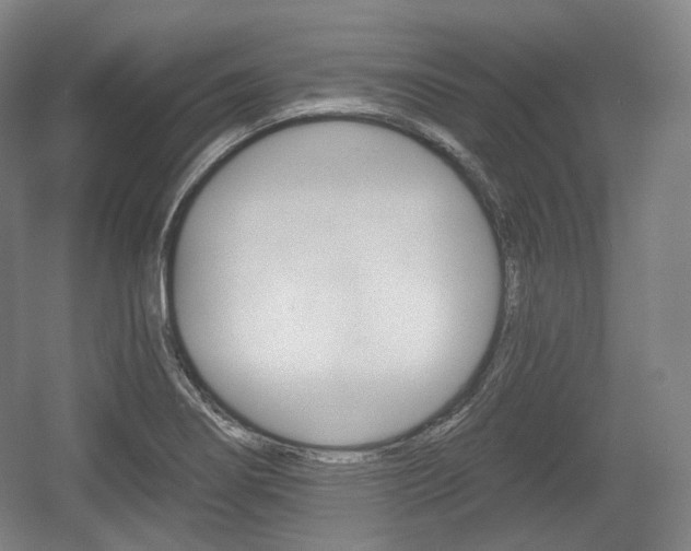 X0000055971274200508190654