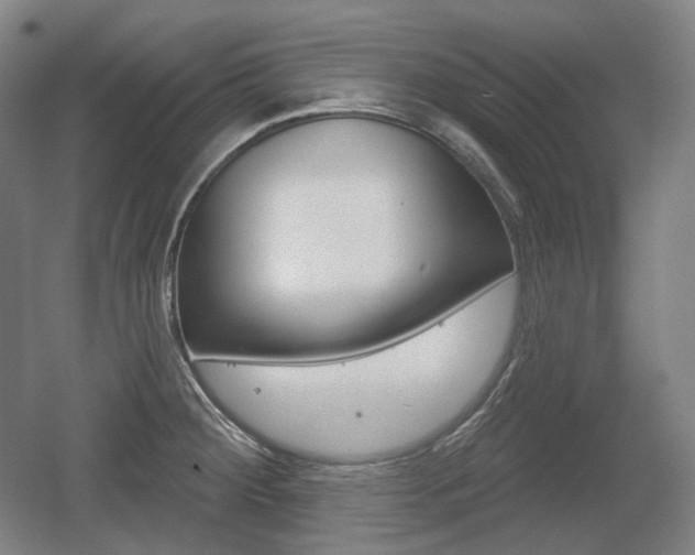 X0000055971284200508190654