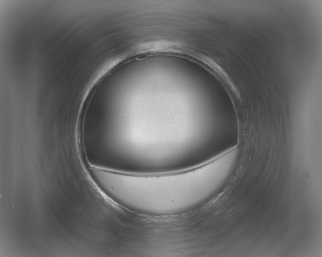 X0000055971285200508190653