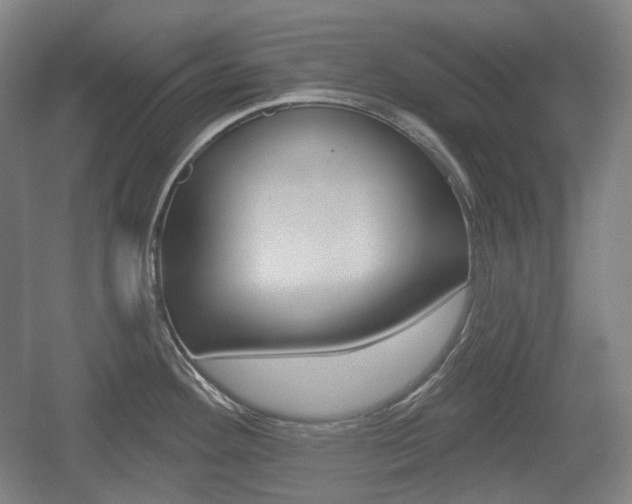 X0000055971292200508190653