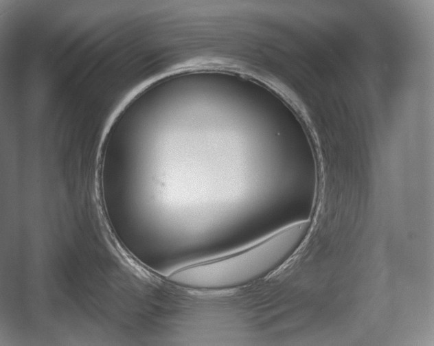 X0000055971296200508190653