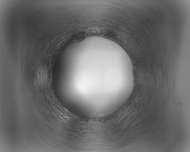 X0000055971297200508190652