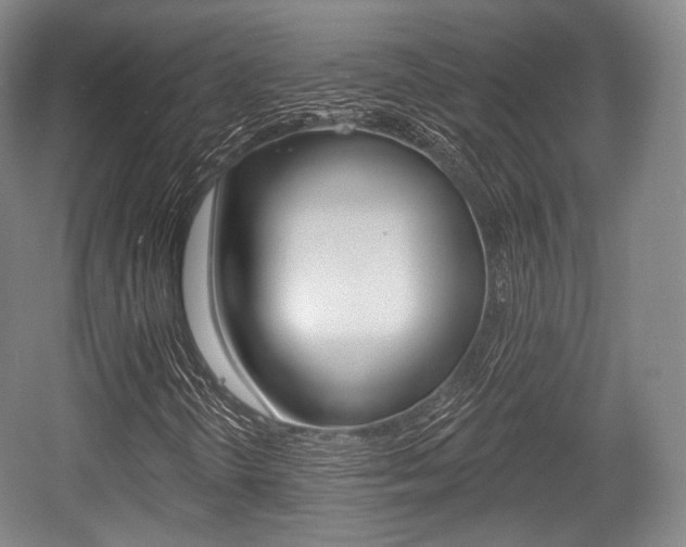 X0000055971298200508190653