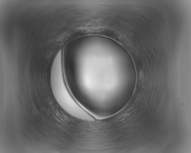 X0000055971300200508190653