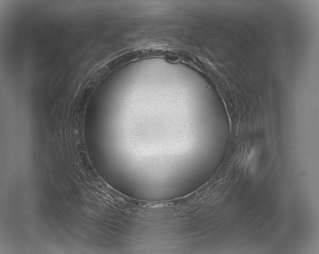 X0000055971303200508190653