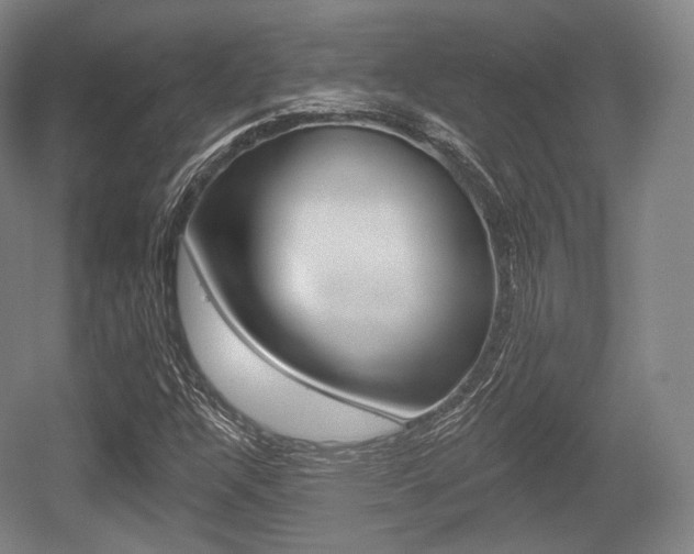X0000055971304200508190653