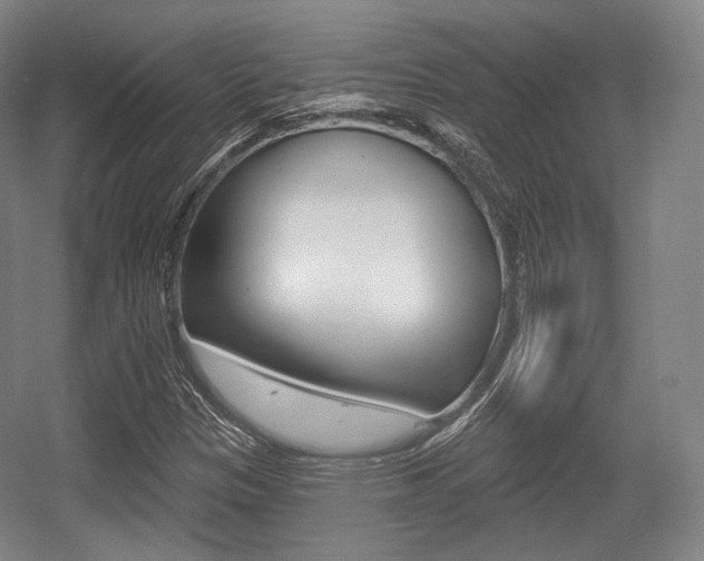 X0000055971305200508190653
