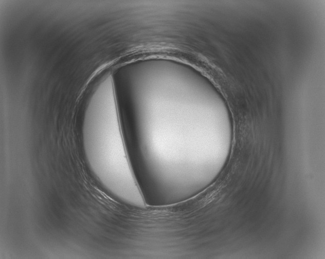 X0000055971306200508190653