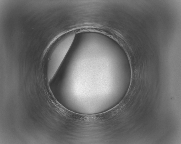 X0000055971310200508190653