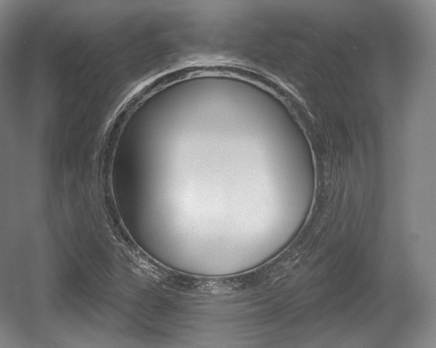 X0000055971311200508190653