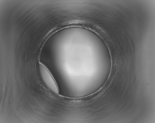 X0000055971313200508190653