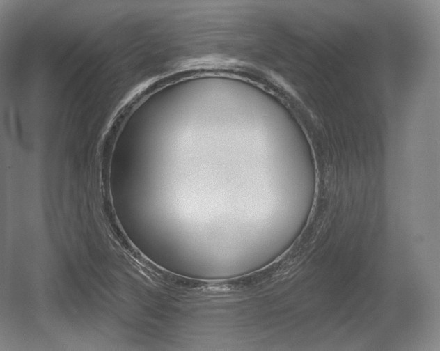 X0000055971315200508190653